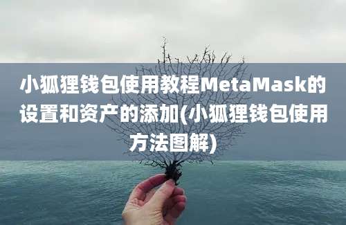 小狐狸钱包使用教程MetaMask的设置和资产的添加(小狐狸钱包使用方法图解)