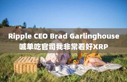 Ripple CEO Brad Garlinghouse喊单吃官司我非常看好XRP