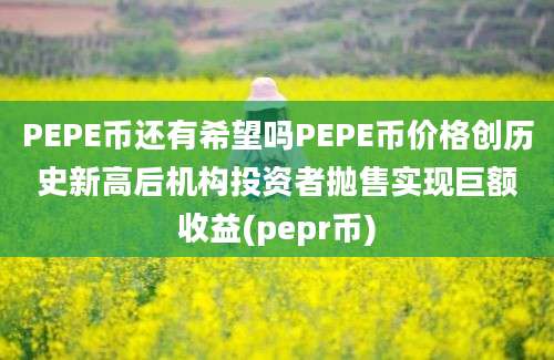 PEPE币还有希望吗PEPE币价格创历史新高后机构投资者抛售实现巨额收益(pepr币)