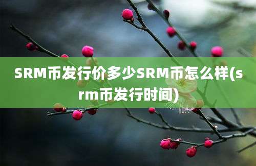 SRM币发行价多少SRM币怎么样(srm币发行时间)