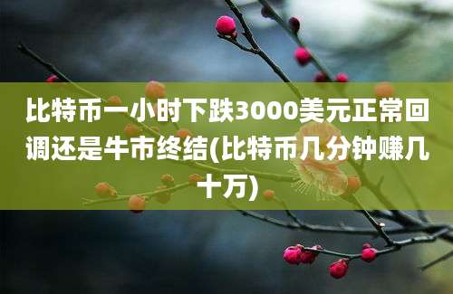 比特币一小时下跌3000美元正常回调还是牛市终结(比特币几分钟赚几十万)