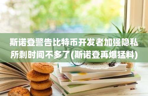 斯诺登警告比特币开发者加强隐私所剩时间不多了(斯诺登再爆猛料)