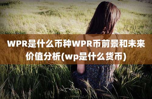 WPR是什么币种WPR币前景和未来价值分析(wp是什么货币)