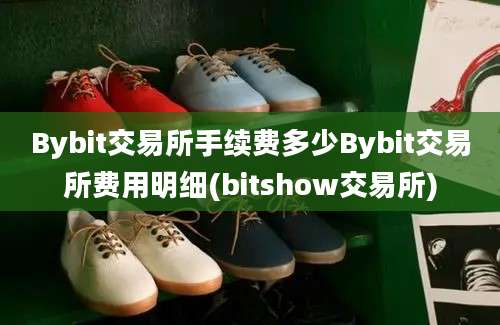 Bybit交易所手续费多少Bybit交易所费用明细(bitshow交易所)