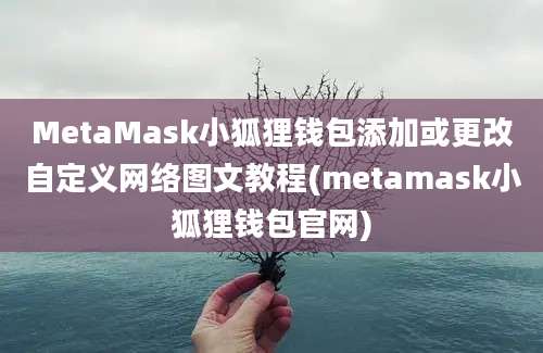 MetaMask小狐狸钱包添加或更改自定义网络图文教程(metamask小狐狸钱包官网)