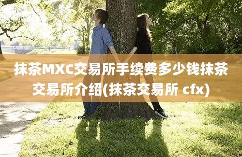 抹茶MXC交易所手续费多少钱抹茶交易所介绍(抹茶交易所 cfx)