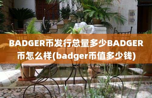 BADGER币发行总量多少BADGER币怎么样(badger币值多少钱)