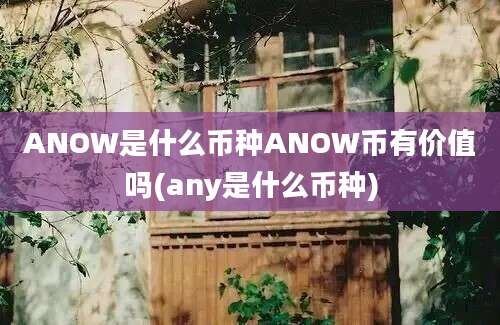 ANOW是什么币种ANOW币有价值吗(any是什么币种)