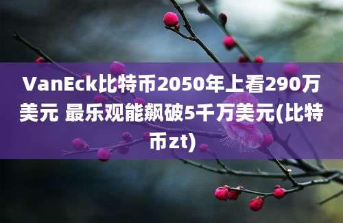 VanEck比特币2050年上看290万美元 最乐观能飙破5千万美元(比特币zt)