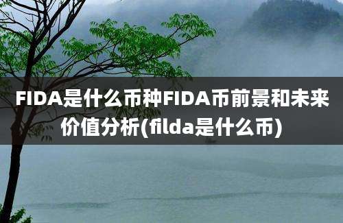 FIDA是什么币种FIDA币前景和未来价值分析(filda是什么币)