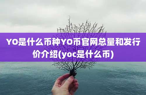 YO是什么币种YO币官网总量和发行价介绍(yoc是什么币)