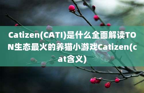 Catizen(CATI)是什么全面解读TON生态最火的养猫小游戏Catizen(cat含义)