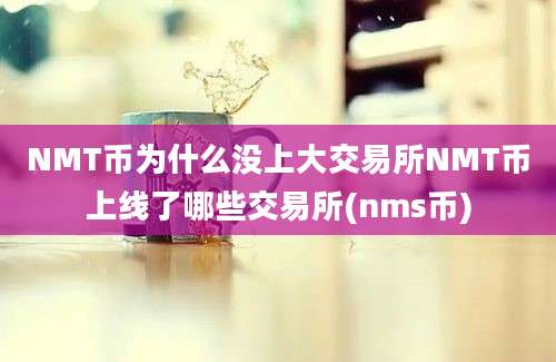 NMT币为什么没上大交易所NMT币上线了哪些交易所(nms币)