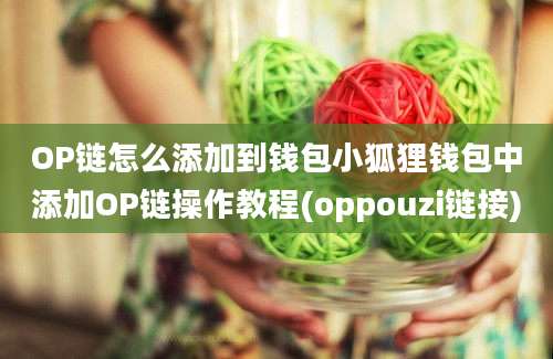 OP链怎么添加到钱包小狐狸钱包中添加OP链操作教程(oppouzi链接)