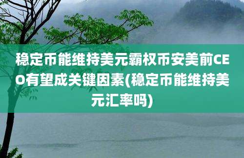 稳定币能维持美元霸权币安美前CEO有望成关键因素(稳定币能维持美元汇率吗)