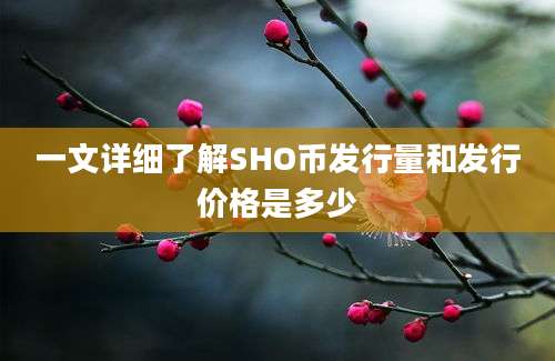 一文详细了解SHO币发行量和发行价格是多少