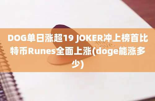 DOG单日涨超19 JOKER冲上榜首比特币Runes全面上涨(doge能涨多少)