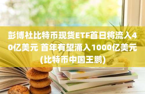 彭博社比特币现货ETF首日将流入40亿美元 首年有望涌入1000亿美元(比特币中国王鹏)