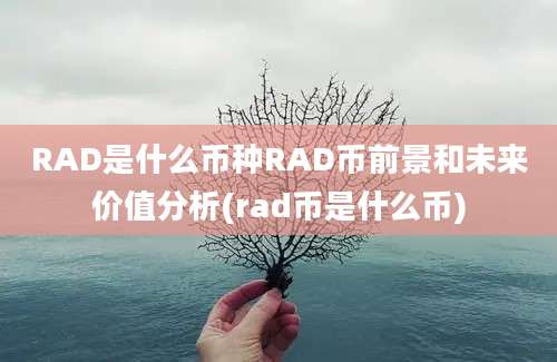 RAD是什么币种RAD币前景和未来价值分析(rad币是什么币)