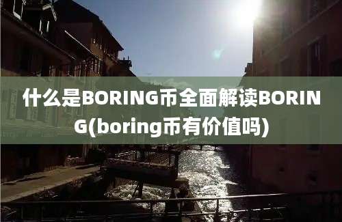 什么是BORING币全面解读BORING(boring币有价值吗)