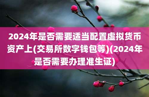 2024年是否需要适当配置虚拟货币资产上(交易所数字钱包等)(2024年是否需要办理准生证)