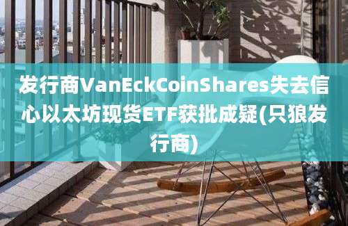 发行商VanEckCoinShares失去信心以太坊现货ETF获批成疑(只狼发行商)