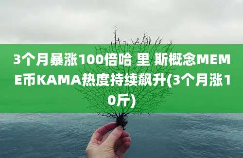 3个月暴涨100倍哈 里 斯概念MEME币KAMA热度持续飙升(3个月涨10斤)