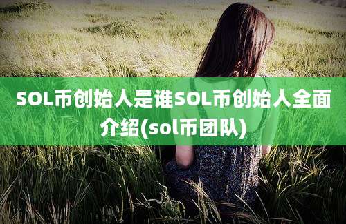 SOL币创始人是谁SOL币创始人全面介绍(sol币团队)