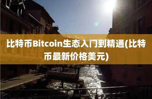 比特币Bitcoin生态入门到精通(比特币最新价格美元)