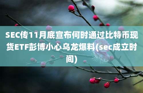 SEC传11月底宣布何时通过比特币现货ETF彭博小心乌龙爆料(sec成立时间)