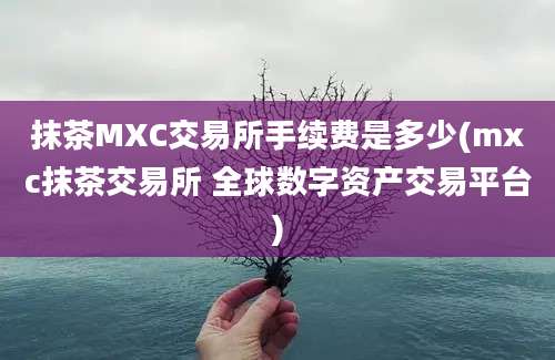 抹茶MXC交易所手续费是多少(mxc抹茶交易所 全球数字资产交易平台)