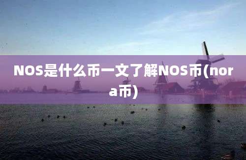 NOS是什么币一文了解NOS币(nora币)