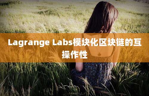 Lagrange Labs模块化区块链的互操作性