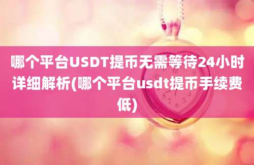 哪个平台USDT提币无需等待24小时详细解析(哪个平台usdt提币手续费低)