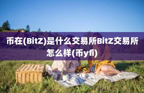 币在(BitZ)是什么交易所BitZ交易所怎么样(币yfi)