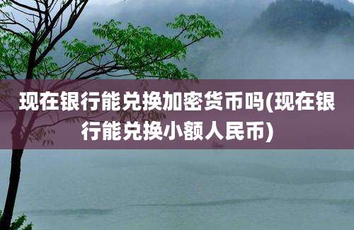 现在银行能兑换加密货币吗(现在银行能兑换小额人民币)