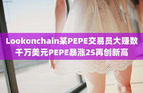 Lookonchain某PEPE交易员大赚数千万美元PEPE暴涨25再创新高