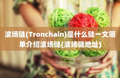 波场链(Tronchain)是什么链一文简单介绍波场链(波场链地址)