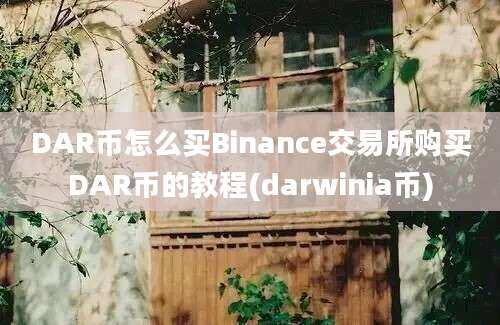 DAR币怎么买Binance交易所购买DAR币的教程(darwinia币)