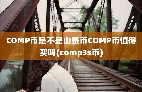 COMP币是不是山寨币COMP币值得买吗(comp3s币)