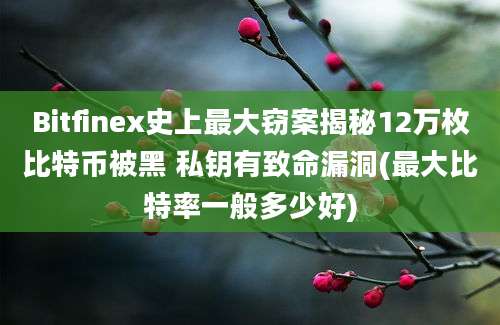 Bitfinex史上最大窃案揭秘12万枚比特币被黑 私钥有致命漏洞(最大比特率一般多少好)