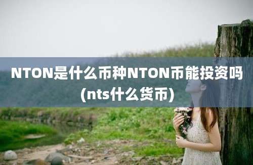 NTON是什么币种NTON币能投资吗(nts什么货币)