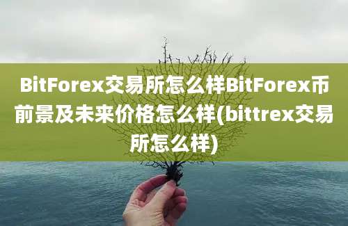 BitForex交易所怎么样BitForex币前景及未来价格怎么样(bittrex交易所怎么样)