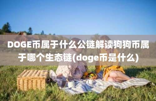 DOGE币属于什么公链解读狗狗币属于哪个生态链(doge币是什么)