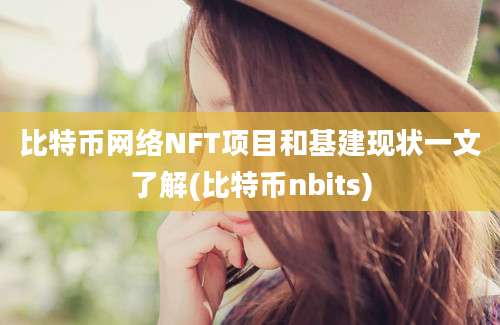 比特币网络NFT项目和基建现状一文了解(比特币nbits)