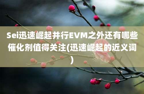 Sei迅速崛起并行EVM之外还有哪些催化剂值得关注(迅速崛起的近义词)