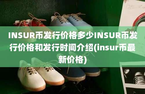 INSUR币发行价格多少INSUR币发行价格和发行时间介绍(insur币最新价格)