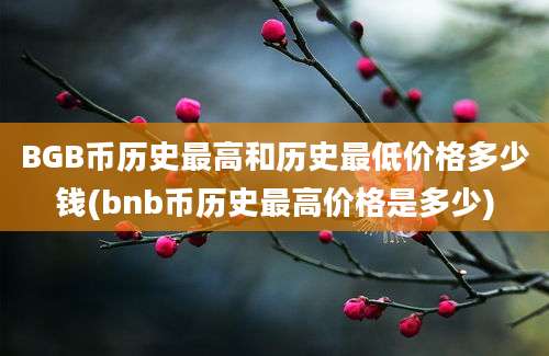 BGB币历史最高和历史最低价格多少钱(bnb币历史最高价格是多少)