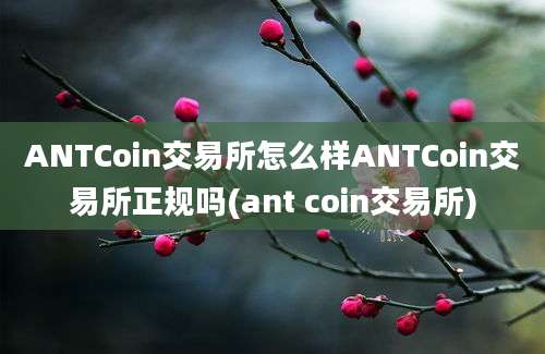 ANTCoin交易所怎么样ANTCoin交易所正规吗(ant coin交易所)