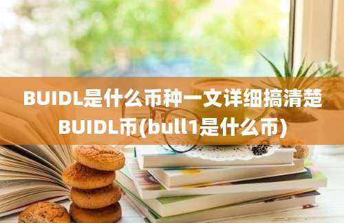 BUIDL是什么币种一文详细搞清楚BUIDL币(bull1是什么币)